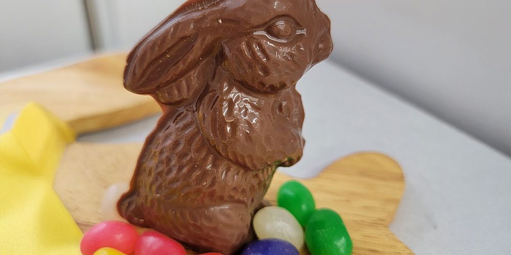 Furry Bunny