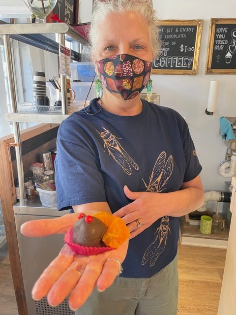 Cicada Sweets & Wine