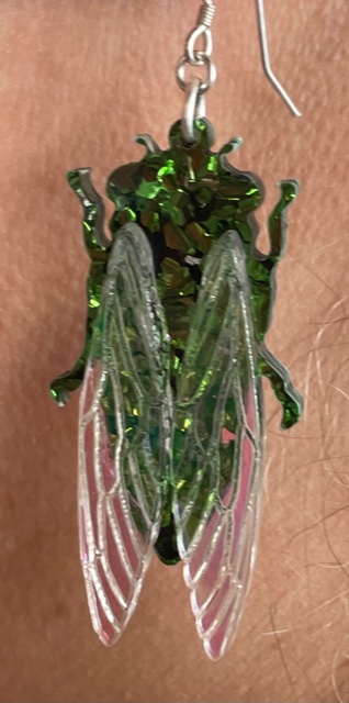 Cicada Sweets & Wine