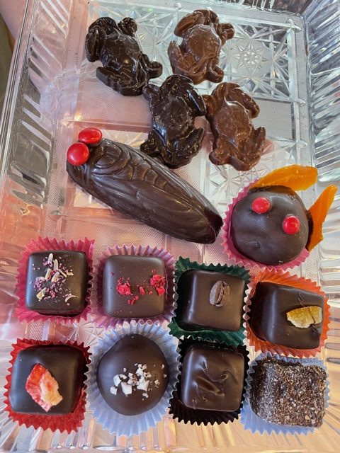 Cicada Sweets & Wine