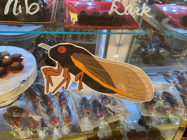 Cicada Sweets & Wine