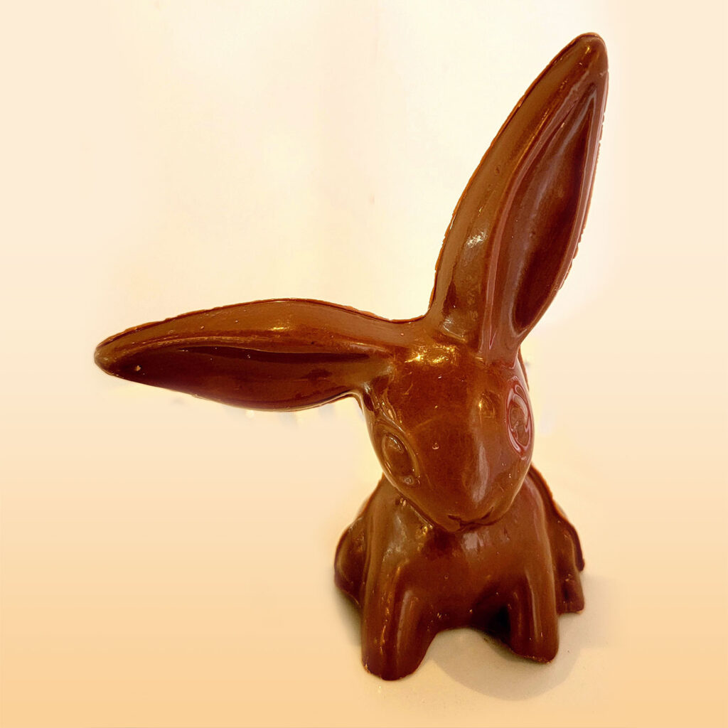 Floppy Eared Bunny