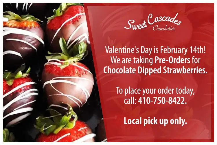 Pre-Order: Chocolate Dipped Strawberries